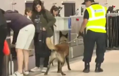 Perros entrenados de SUNAT custodian el Jorge Chávez.