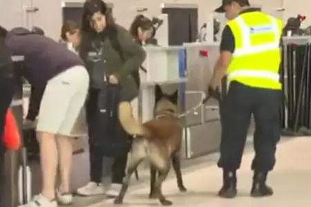 Perros entrenados de SUNAT custodian el Jorge Chvez.