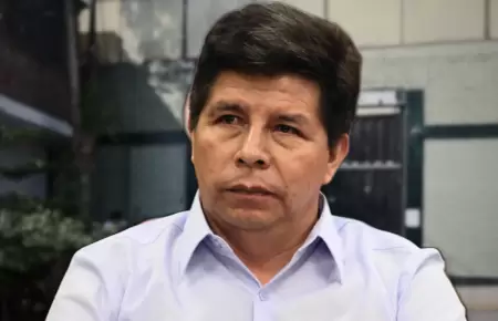 Pedro Castillo en Barbadillo.