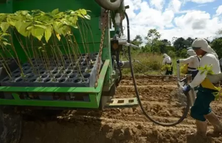 Nueva Ley Agraria es la nica manera de formalizar el campo, segn Lozada.
