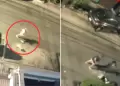 Perro rottweiler ataca a joven en Chorrillos: Vctima fue sometida a dos intervenciones quirrgicas