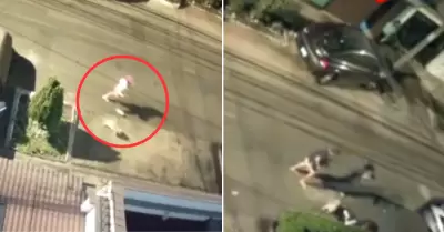 Perro rottweiler ataca a joven en Chorrillos