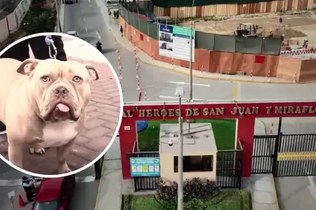 Denuncian envenenamiento de perros en SJM.