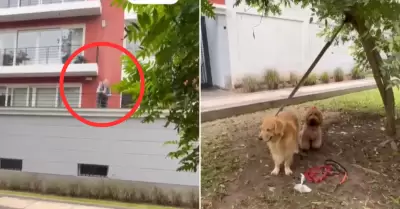 Vecino de San Isidro arroja agua a ciudadano y perros.