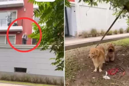 Vecino de San Isidro arroja agua a ciudadano y perros.