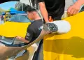 Taxistas independientes: ¡Atención! Conozcan cómo acceder al vinilado amarillo gratuito que ofrece la ATU