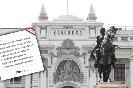 CIDH rechaza amnista a militares y policas.
