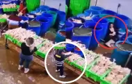 Terror en Hualmay: Sicarios disfrazados de policas intentan asesinar a balazos a 'La Reina del Pollo'
