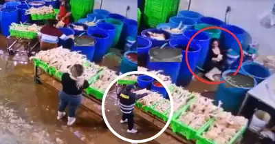 Hualmay: Sicarios atacan a balazos a 'La Reina del Pollo'