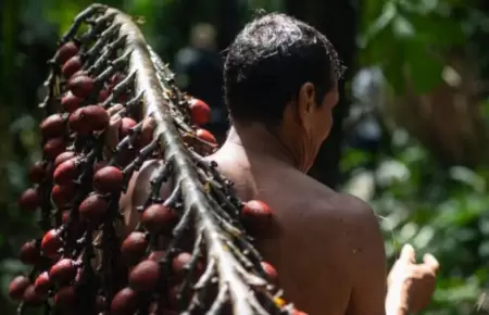 Frutas de la Amazona peruana cautivaron a BBC