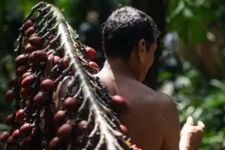 Frutas de la Amazona peruana cautivaron a BBC