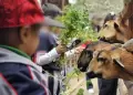 Parque de las Leyendas regalar 50 entradas este domingo 22 de junio: Entrate cmo conseguir una