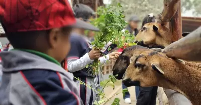 Parque de las Leyendas regalará 50 entradas