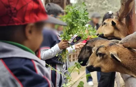 Parque de las Leyendas regalar 50 entradas
