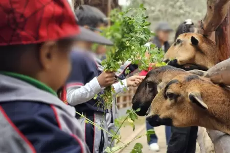 Parque de las Leyendas regalar 50 entradas