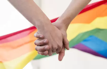 Apoyan los peruanos el matrimonio igualitario?