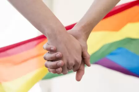 Apoyan los peruanos el matrimonio igualitario?