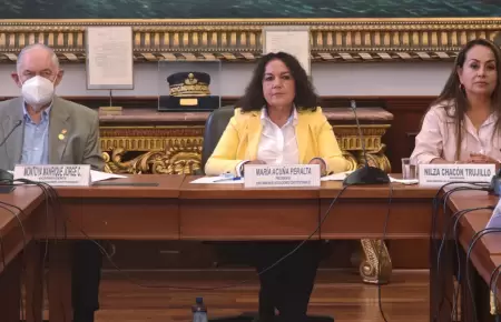 Subcomisin de Acusaciones Constitucionales aborda denuncias constitucionales.
