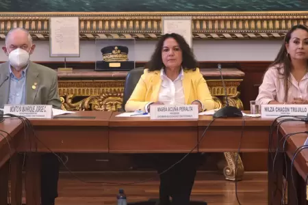 Subcomisin de Acusaciones Constitucionales aborda denuncias constitucionales.