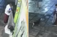 La delincuencia no tiene lmites! Hombre ROBA la cobija de un perrito callejero