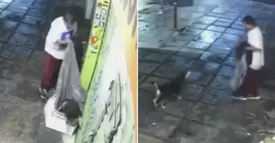 Hombre roba la cobija de un perrito callejero