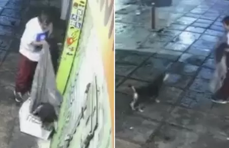 Hombre roba la cobija de un perrito callejero