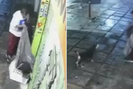 Hombre roba la cobija de un perrito callejero
