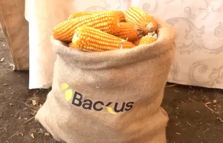 Backus y Midagri firman convenio para crear cerveza 100% peruana