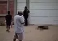 Piura: Disparan a perro frente a dos nios, padre exige justicia por crueldad animal