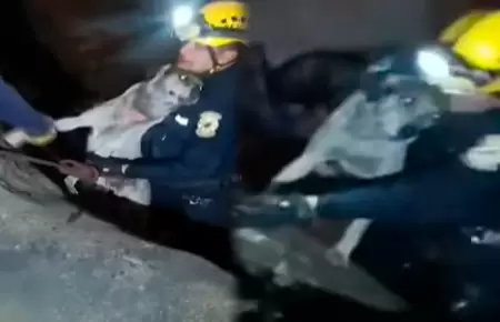 Serenos rescatan a perro en Ro Rmac.