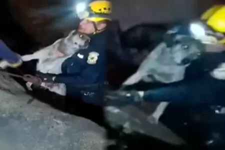 Serenos rescatan a perro en Ro Rmac.