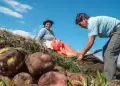 Da del Campesino en el Per: Por qu se celebra cada 24 de junio y cul es su origen?