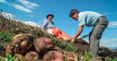 Día del Campesino en el Perú.