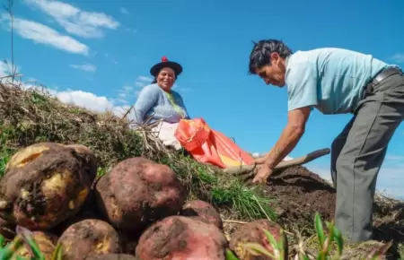 Da del Campesino en el Per.