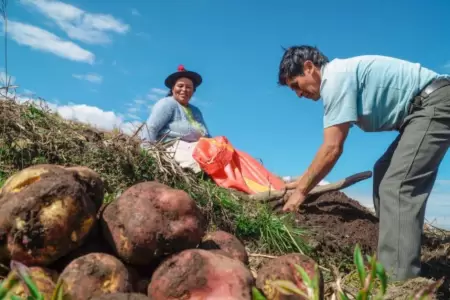Da del Campesino en el Per.