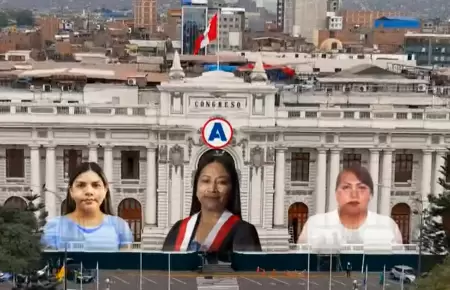 Militantes de APP contratadas en el Congreso.