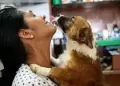 Desde julio! INEI incluir en sus encuestas nacionales un mdulo sobre tenencia de mascotas en hogares