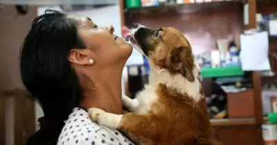 INEI incluirá módulo sobre tenencia de mascotas en encuestas.