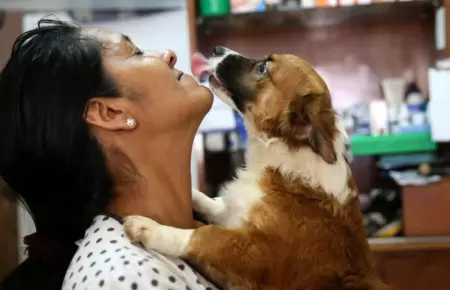 INEI incluir mdulo sobre tenencia de mascotas en encuestas.