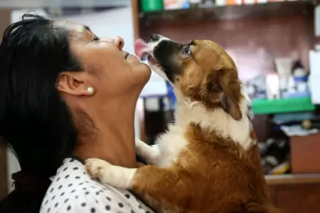 INEI incluir mdulo sobre tenencia de mascotas en encuestas.