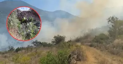 Incendio forestal amenaza con afectar Cueva de Pikimachay.