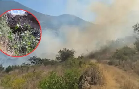 Incendio forestal amenaza con afectar Cueva de Pikimachay.