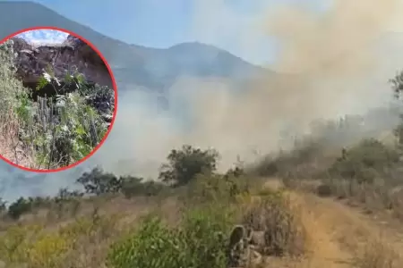 Incendio forestal amenaza con afectar Cueva de Pikimachay.