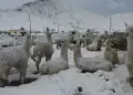 Nevadas, granizo y lluvias afectarn zonas altas de la sierra peruana, advierte Senamhi