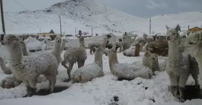 Nevadas y granizo en la sierra peruana esta semana.