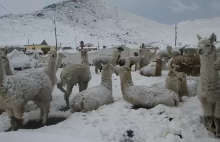 Nevadas y granizo en la sierra peruana esta semana.