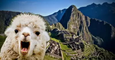 Machu Picchu destino turístico