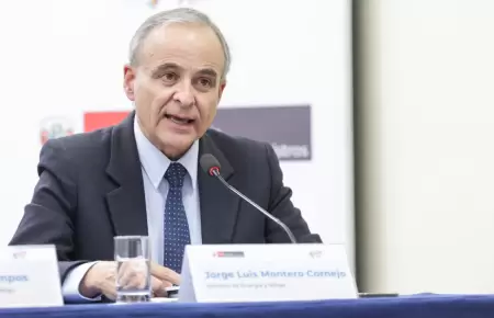 Ministro de Energa y Minas defendi la ampliacin del REINFO.