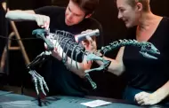 Descubren una nueva especie de dinosaurio del tamao de un perro: As era esta criatura prehistrica