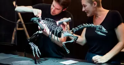Descubren una nueva especie de dinosaurio del tamaño de un perro.